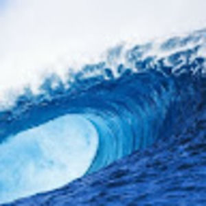 Meet your Posher, Erik